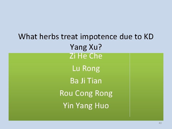What herbs treat impotence due to KD Yang Xu? Zi He Che Lu Rong