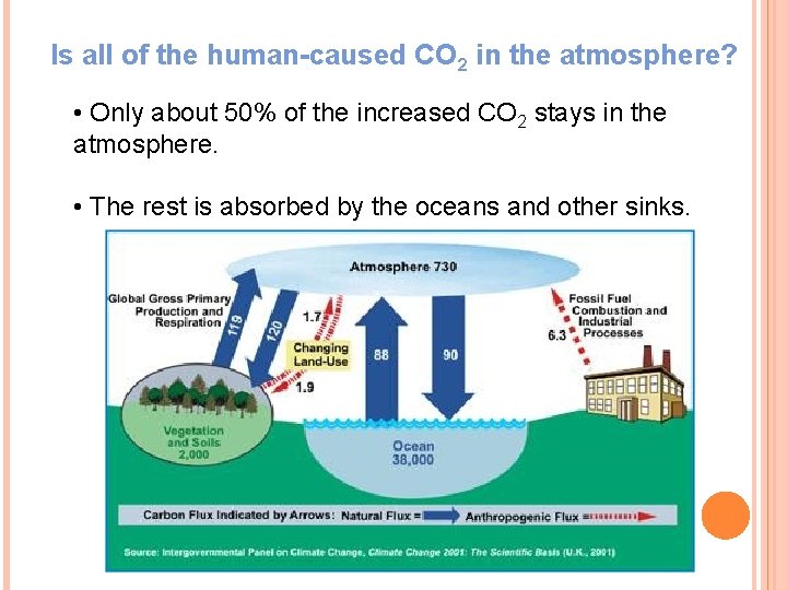 Is all of the human-caused CO 2 in the atmosphere? • Only about 50%
