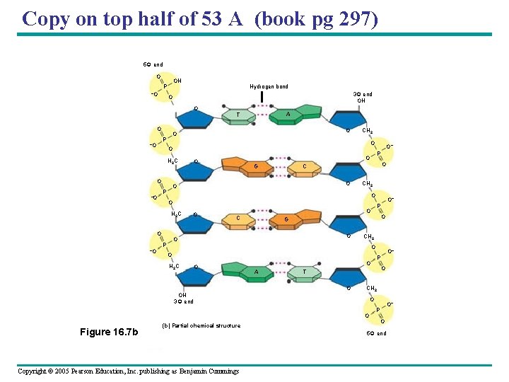 Copy on top half of 53 A (book pg 297) 5 end O OH