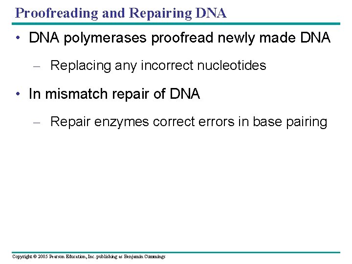 Proofreading and Repairing DNA • DNA polymerases proofread newly made DNA – Replacing any