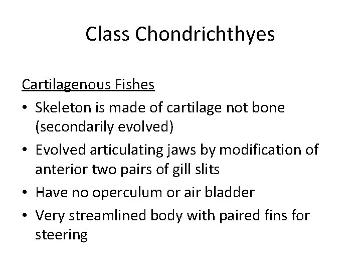 Class Chondrichthyes Cartilagenous Fishes • Skeleton is made of cartilage not bone (secondarily evolved)