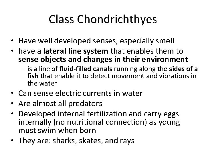 Class Chondrichthyes • Have well developed senses, especially smell • have a lateral line