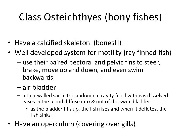 Class Osteichthyes (bony fishes) • Have a calcified skeleton (bones!!) • Well developed system