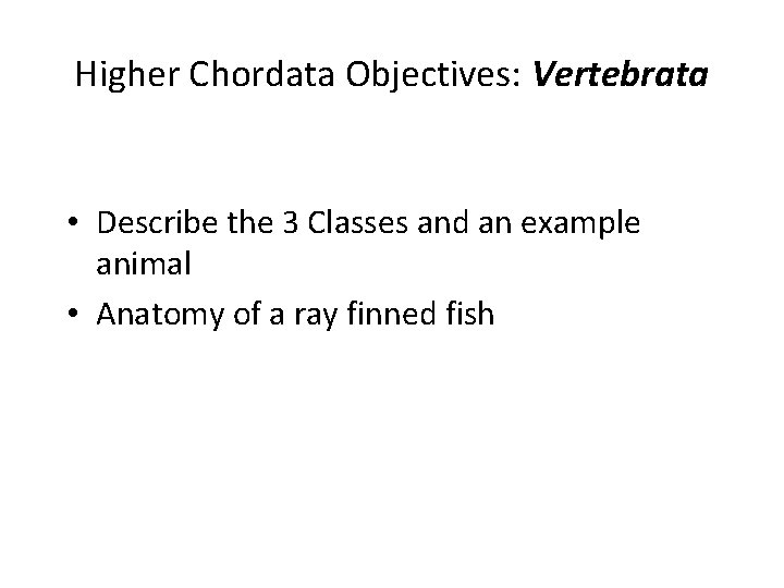 Higher Chordata Objectives: Vertebrata • Describe the 3 Classes and an example animal •