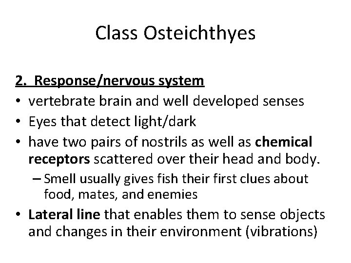 Class Osteichthyes 2. Response/nervous system • vertebrate brain and well developed senses • Eyes