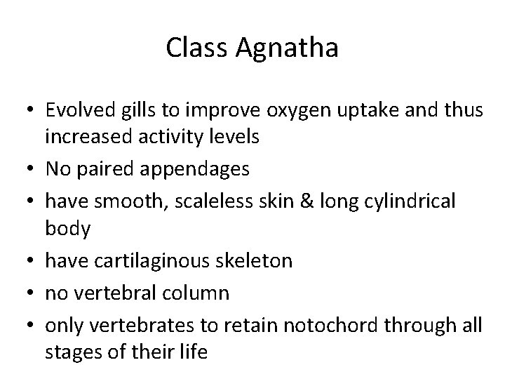 Class Agnatha • Evolved gills to improve oxygen uptake and thus increased activity levels