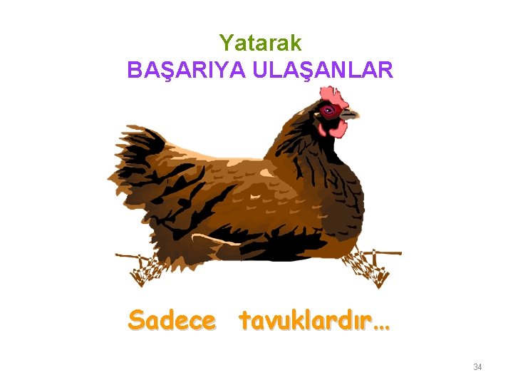 Yatarak BAŞARIYA ULAŞANLAR Sadece tavuklardır… 34 Yatarak BAŞARIYA ULAŞANLAR Sadece tavuklardır… 34