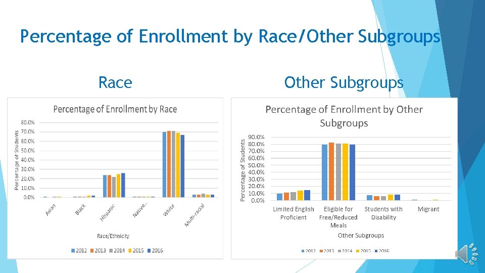 Percentage of Enrollment by Race/Other Subgroups Race Other Subgroups 