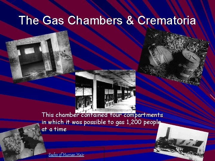 The Gas Chambers & Crematoria This chamber contained four compartments in which it was
