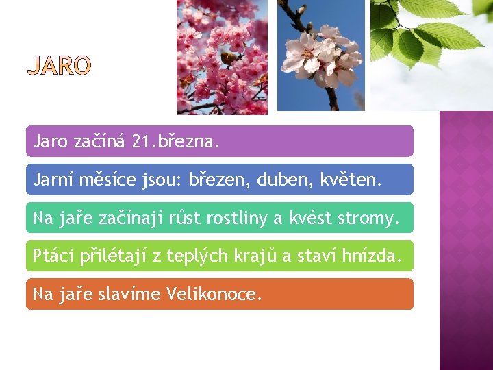 Jaro začíná 21. března. Jarní měsíce jsou: březen, duben, květen. Na jaře začínají růst