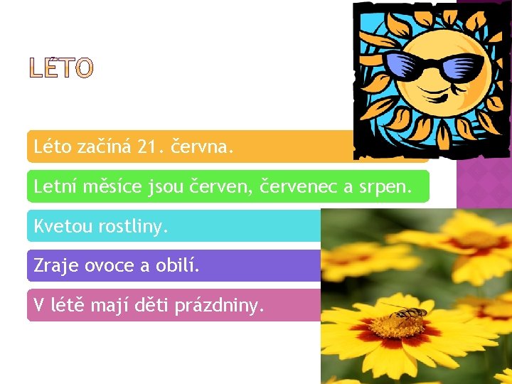 Léto začíná 21. června. Letní měsíce jsou červen, červenec a srpen. Kvetou rostliny. Zraje