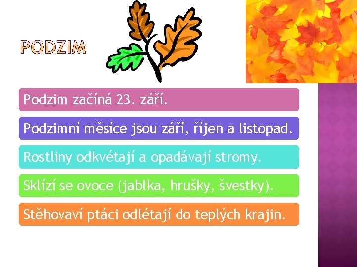 Podzim začíná 23. září. Podzimní měsíce jsou září, říjen a listopad. Rostliny odkvétají a