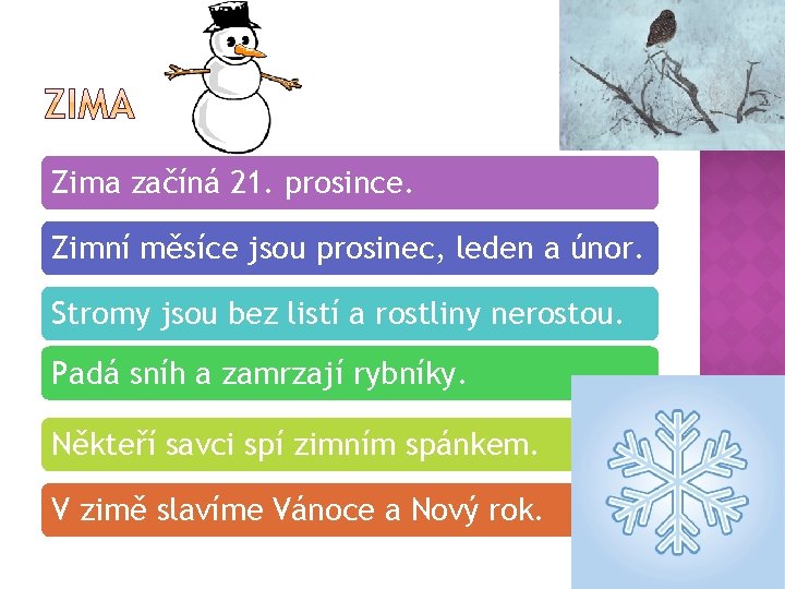 Zima začíná 21. prosince. Zimní měsíce jsou prosinec, leden a únor. Stromy jsou bez