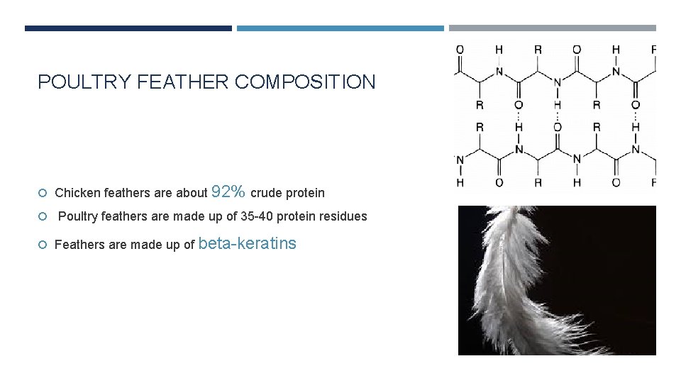 POULTRY FEATHER COMPOSITION Chicken feathers are about 92% crude protein Poultry feathers are made