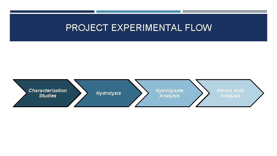 PROJECT EXPERIMENTAL FLOW Characterization Studies Hydrolysis Hydrolysate Analysis Amino Acid Analysis 