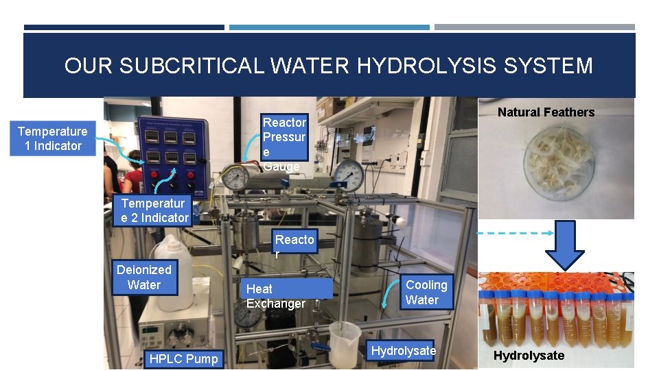 OUR SUBCRITICAL WATER HYDROLYSIS SYSTEM Natural Feathers Reactor Pressur e Gauge Temperature 1 Indicator