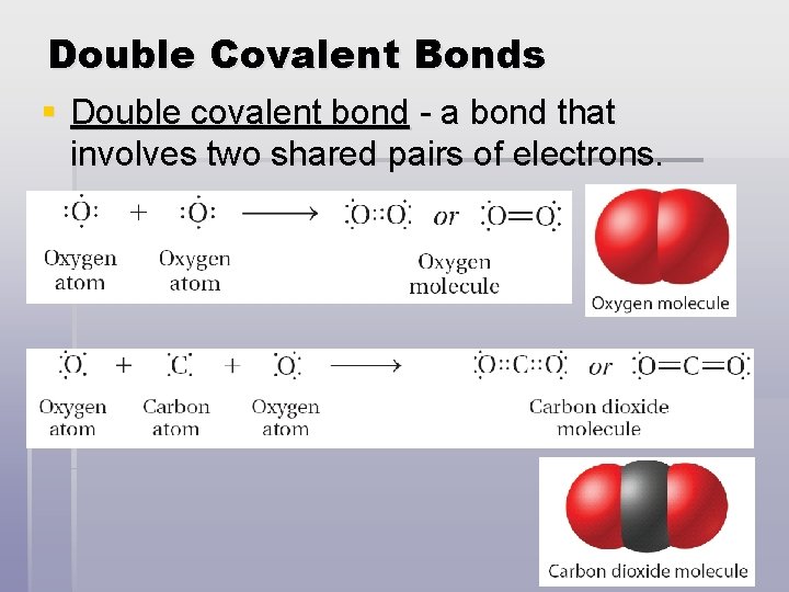 Double Covalent Bonds § Double covalent bond - a bond that involves two shared
