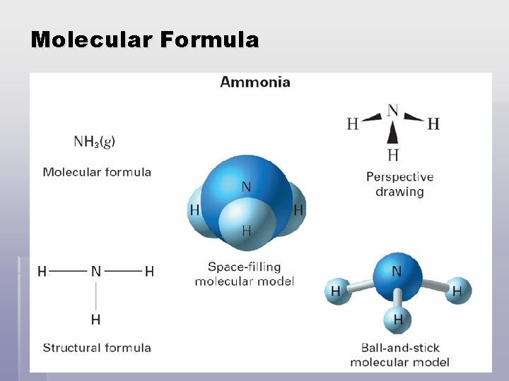 Molecular Formula 