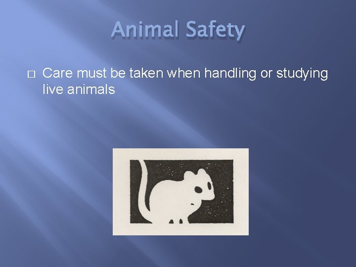 Animal Safety � Care must be taken when handling or studying live animals 