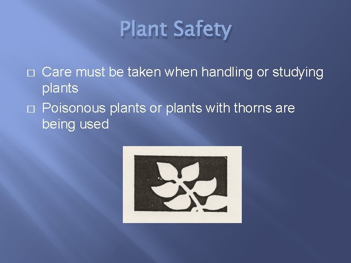 Plant Safety � � Care must be taken when handling or studying plants Poisonous