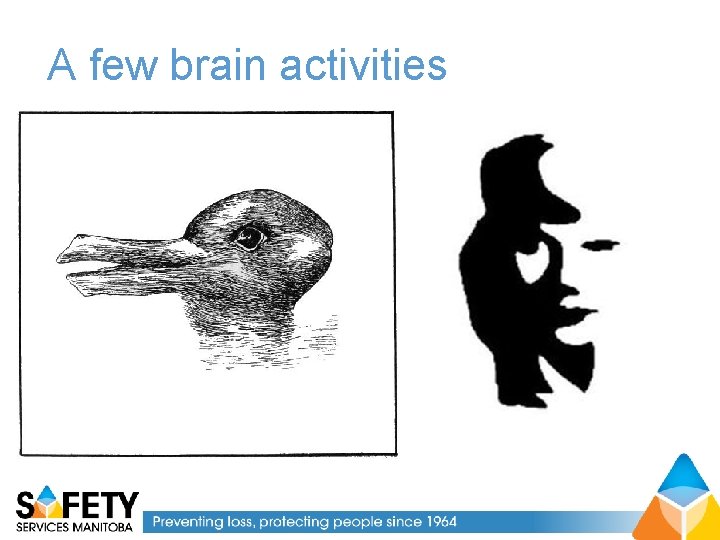 A few brain activities 