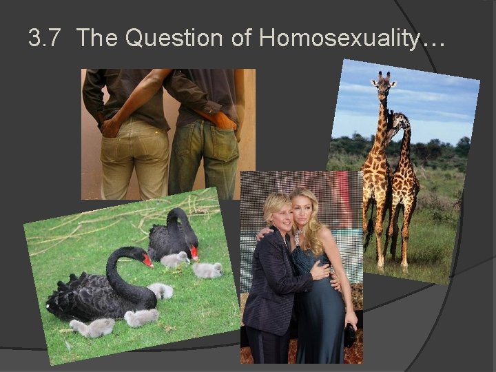 3. 7 The Question of Homosexuality. . . 