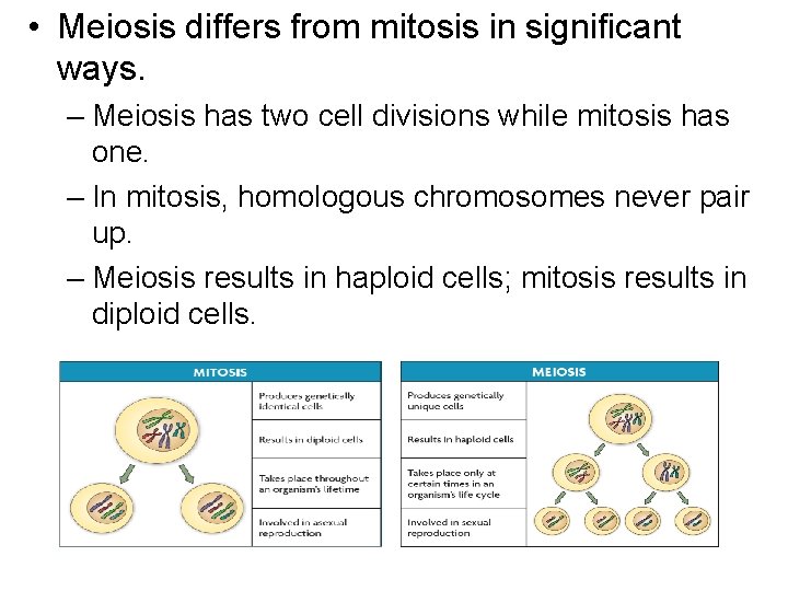  • Meiosis differs from mitosis in significant ways. – Meiosis has two cell