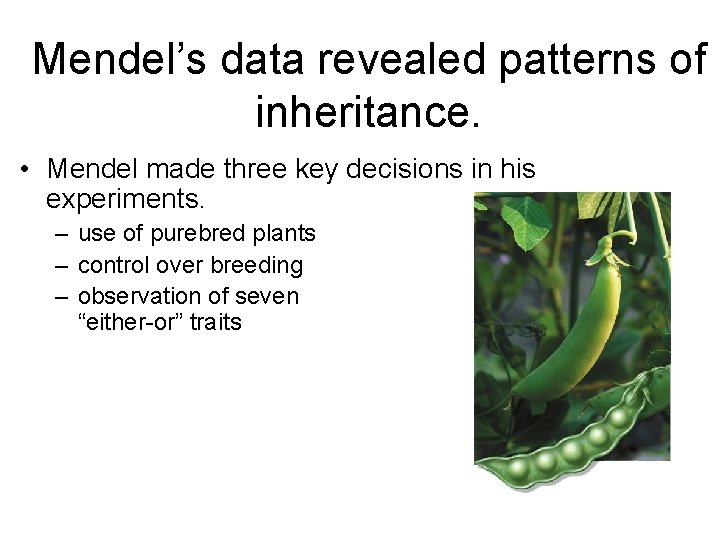Mendel’s data revealed patterns of inheritance. • Mendel made three key decisions in his