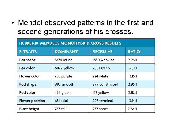  • Mendel observed patterns in the first and second generations of his crosses.