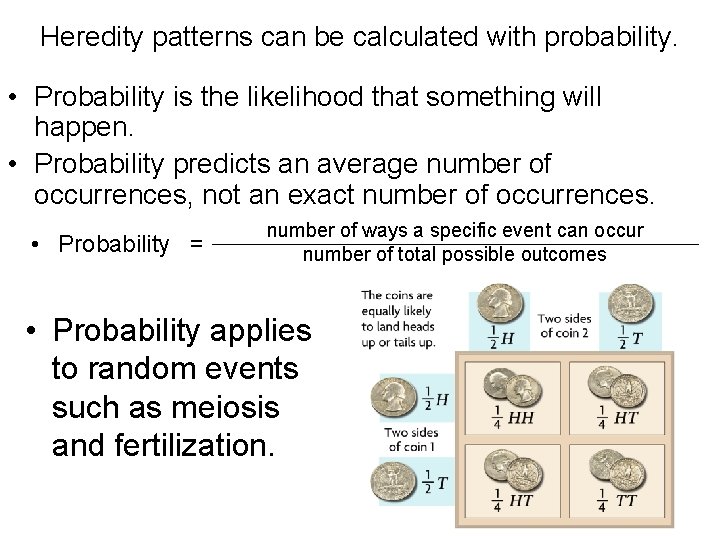 Heredity patterns can be calculated with probability. • Probability is the likelihood that something