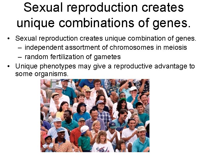 Sexual reproduction creates unique combinations of genes. • Sexual reproduction creates unique combination of