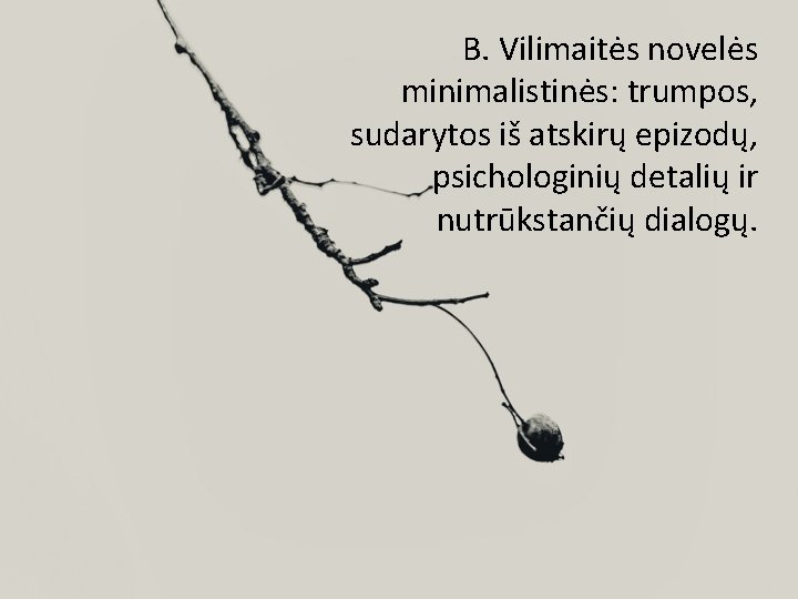 B. Vilimaitės novelės minimalistinės: trumpos, sudarytos iš atskirų epizodų, psichologinių detalių ir nutrūkstančių dialogų.