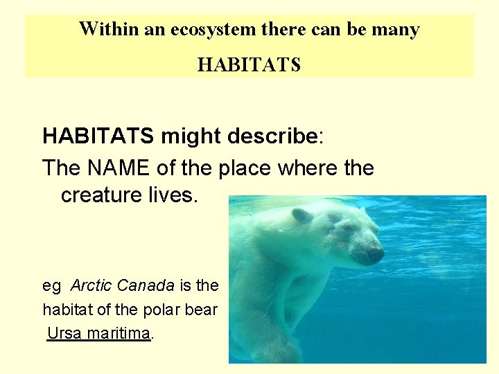 Within an ecosystem there can be many HABITATS might describe: The NAME of the