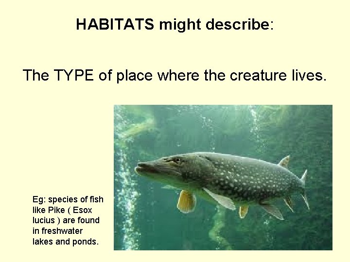 HABITATS might describe: The TYPE of place where the creature lives. eeg Eg: species