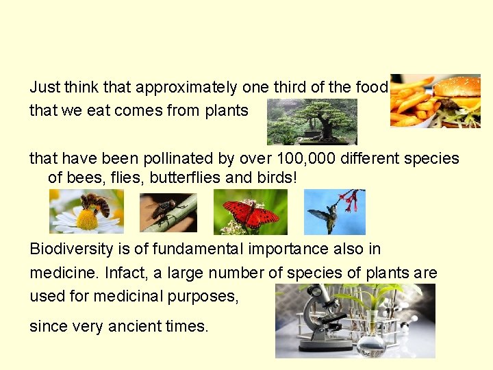 Just think that approximately one third of the food that we eat comes from