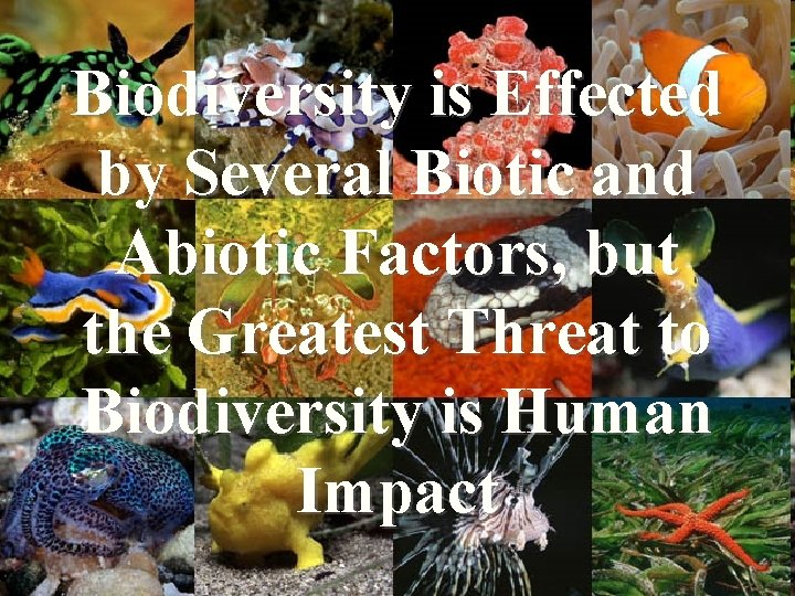 Biodiversity is Effected by Several Biotic and Abiotic Factors, but the Greatest Threat to