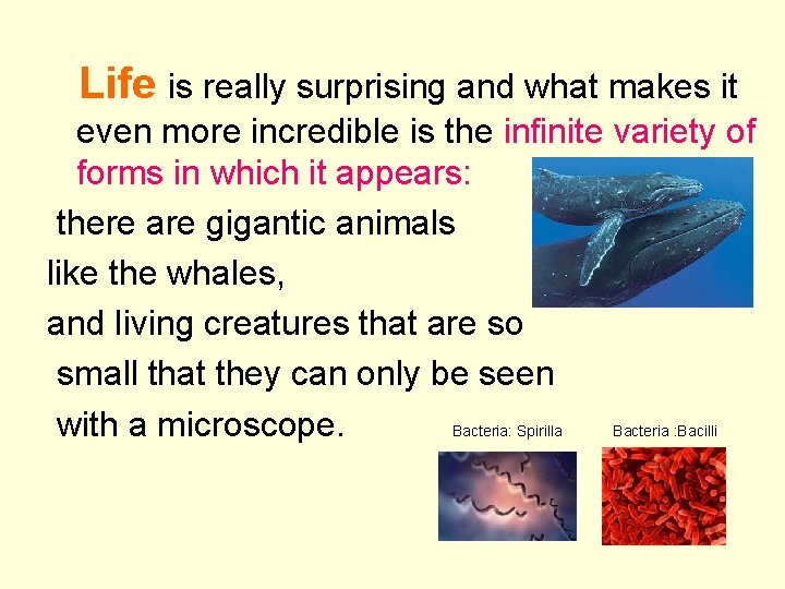 Life is really surprising and what makes it even more incredible is the infinite