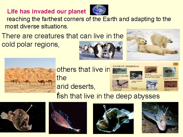 Life has invaded our planet reaching the farthest corners of the Earth and adapting