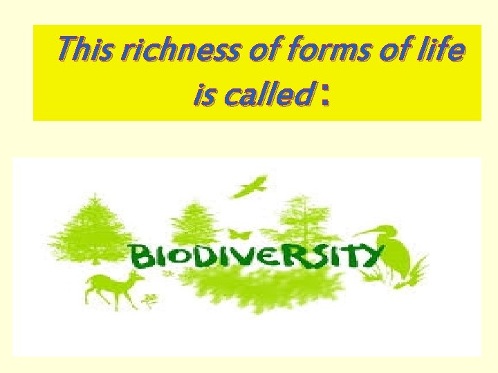 This richness of forms of life is called : . 