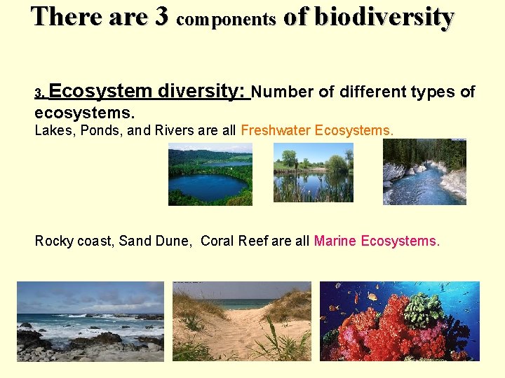 There are 3 components of biodiversity 3. Ecosystem diversity: Number of different types of