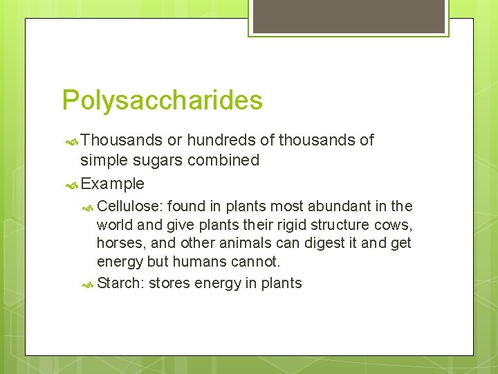 Polysaccharides Thousands or hundreds of thousands of simple sugars combined Example Cellulose: found in