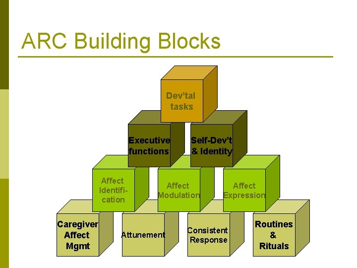 ARC Building Blocks Dev’tal tasks Executive functions Affect Identification Caregiver Affect Mgmt Self-Dev’t &