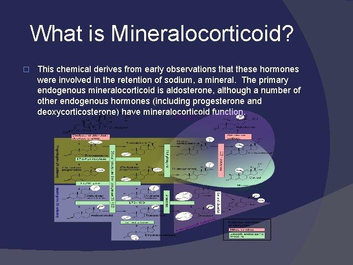 What is Mineralocorticoid? � This chemical derives from early observations that these hormones were