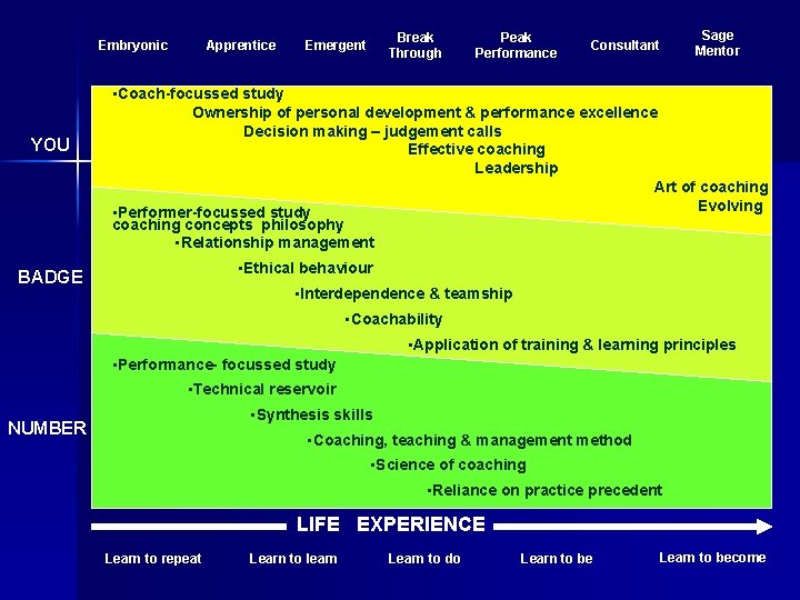 Embryonic YOU Apprentice Break Through Emergent Peak Performance Consultant Sage Mentor • Coach-focussed study