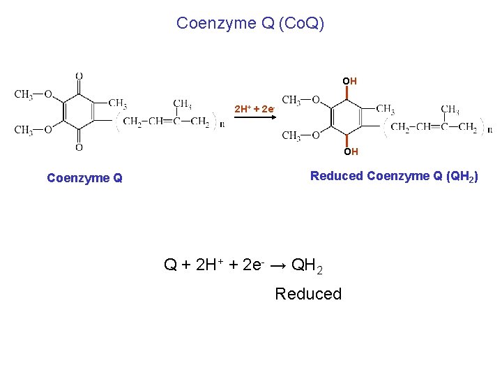 Coenzyme Q (Co. Q) OH 2 H+ + 2 e- OH Coenzyme Q Reduced