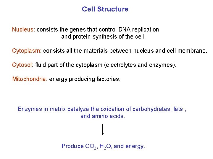Cell Structure Nucleus: consists the genes that control DNA replication and protein synthesis of