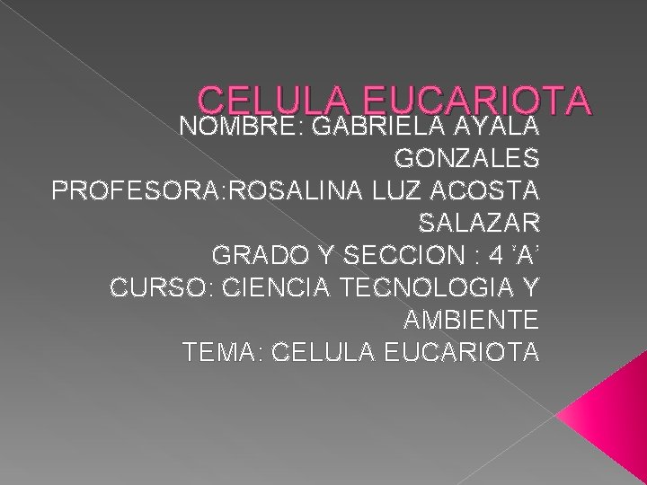 CELULA EUCARIOTA NOMBRE: GABRIELA AYALA GONZALES PROFESORA: ROSALINA LUZ ACOSTA SALAZAR GRADO Y SECCION