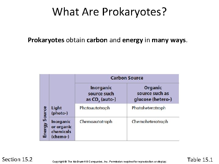 What Are Prokaryotes? Prokaryotes obtain carbon and energy in many ways. Section 15. 1