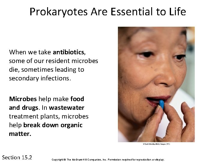 Prokaryotes Are Essential to Life When we take antibiotics, some of our resident microbes