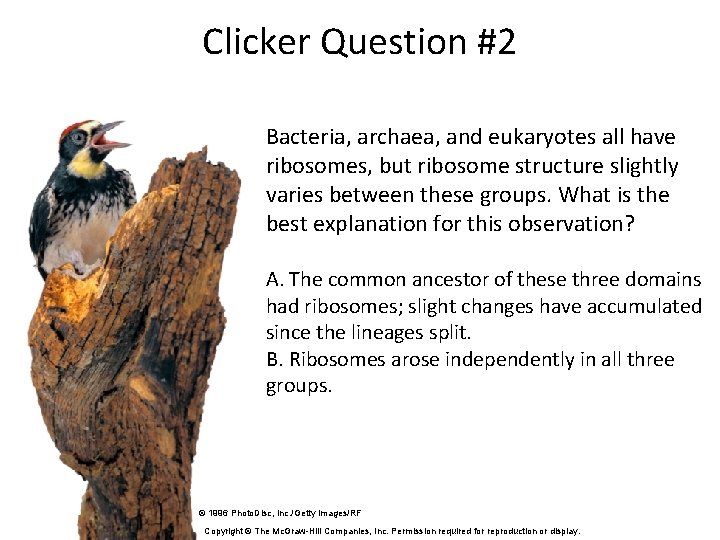 Clicker Question #2 Bacteria, archaea, and eukaryotes all have ribosomes, but ribosome structure slightly